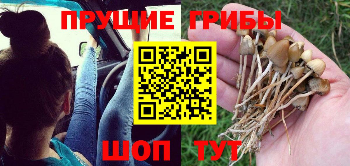 Выкса  Галлюциногенные грибы мицелий  Псилоцибиновые грибы GOLDEN TEACHER  Вход с VPN 